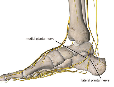 pain in medial plantar nerve