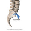 Understanding Sacroiliac Movement nutation