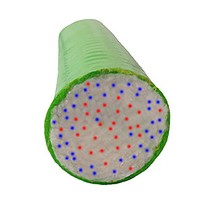 Schematic representation of motor and sensory nerve distribution in a cross section of the ulnar nerve at the elbow. Sensory (blue) fibers are more concentrated around the periphery and motor (red) fibers are more concentrated in the center.