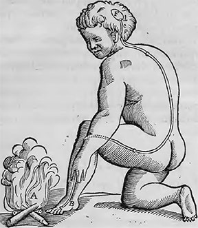 Descartes image