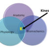 Three branches of kinesiology