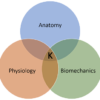 Venn diagram of the three branches of kinesiology